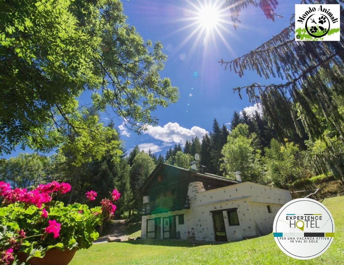 La Locanda Delle Pulci Bio Welness Меццана Екстер'єр фото